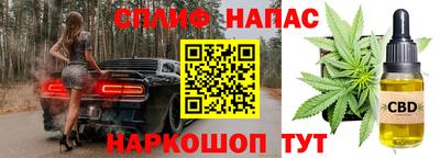 МДПВ Моздок