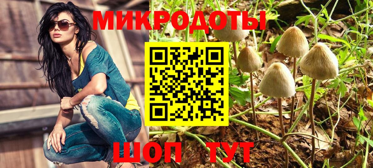 Галлюциногенные грибы мицелий Удомля