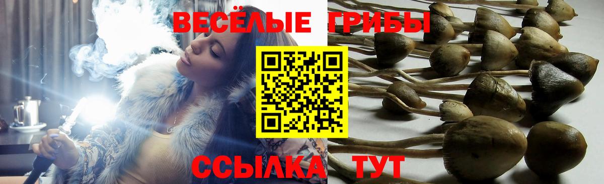 Галлюциногенные грибы GOLDEN TEACHER  Галлюциногенные грибы ЛСД  Удомля  Вход с VPN 